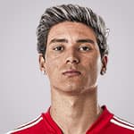 Darwin Nunez Ribeiro