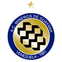 Mineros de Guyana