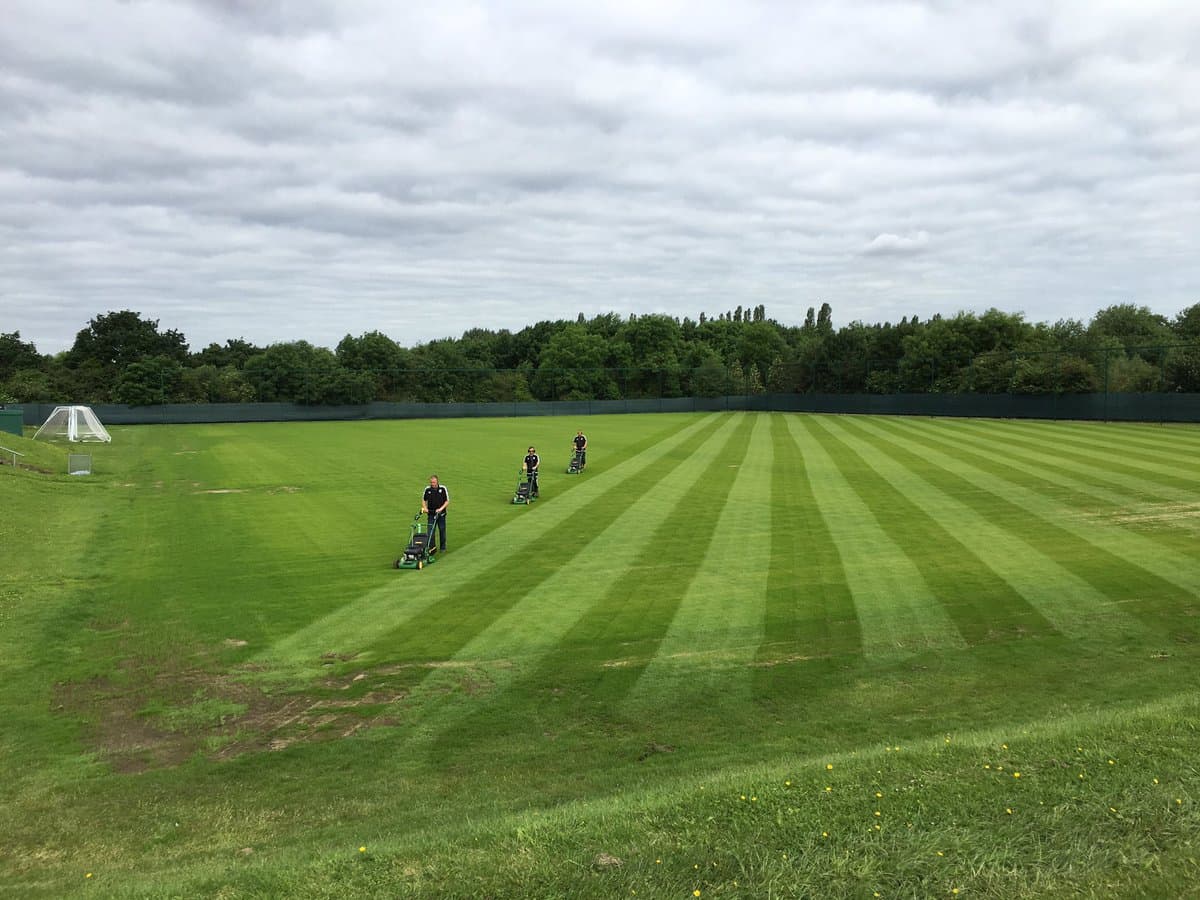 Palm Training Ground