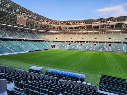 Yıldız Entegre Kocaeli Stadyumu