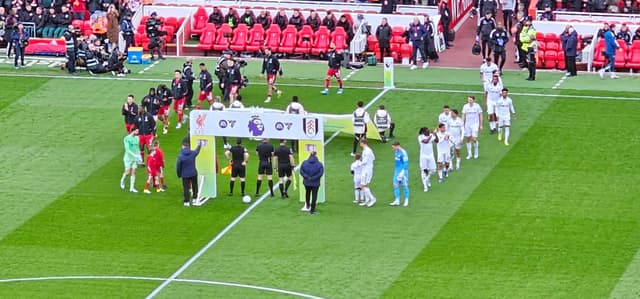Liverpool v Fulham — fan photo