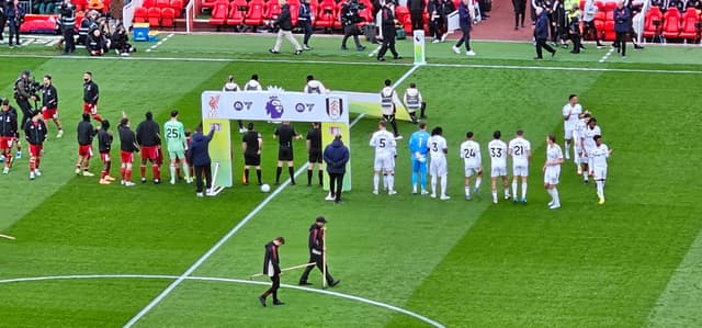Liverpool v Fulham — fan photo