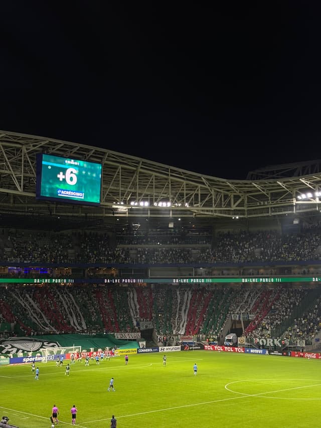 Palmeiras v Sporting Cristal — fan photo