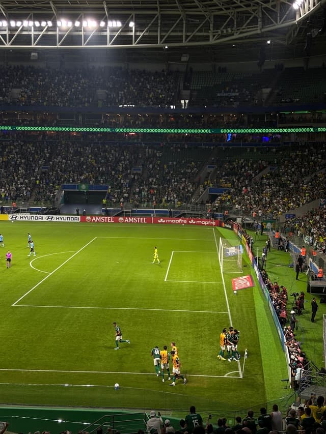 Palmeiras v Sporting Cristal — fan photo