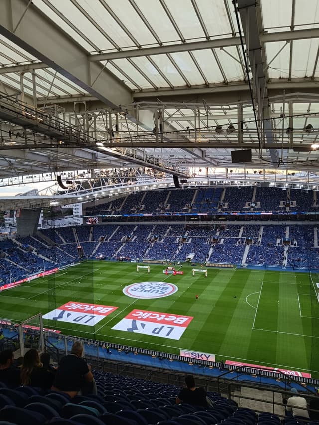 Estádio Do Dragão — fan photo