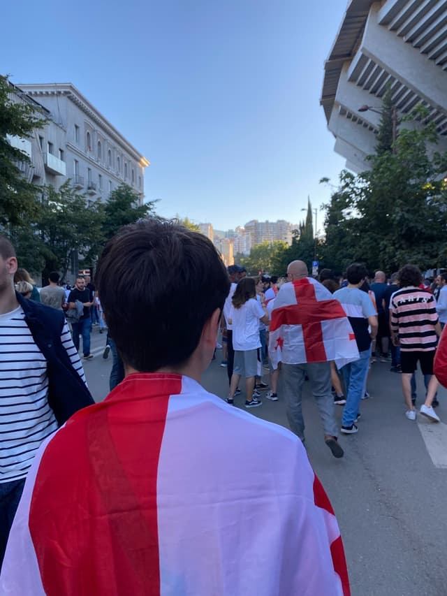 Mikheil Meskhis sakhelobis Stadioni — fan photo