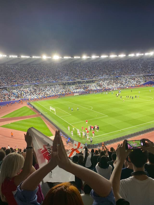 Mikheil Meskhis sakhelobis Stadioni — fan photo