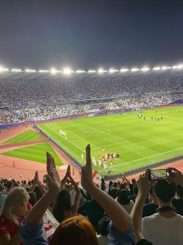 Mikheil Meskhis sakhelobis Stadioni — fan photo