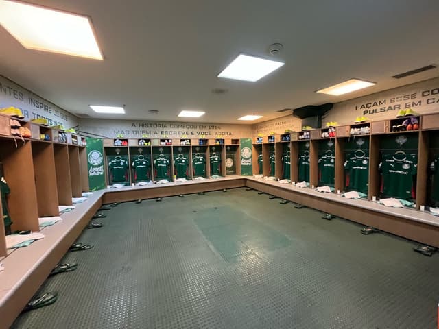 Palmeiras v Atletico Paranaense — fan photo