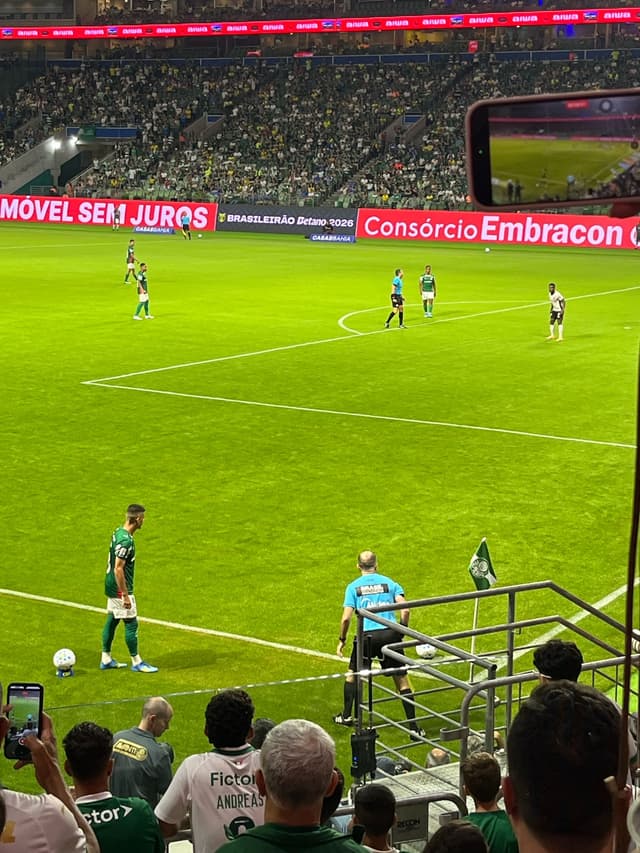 Palmeiras v Atletico Paranaense — fan photo