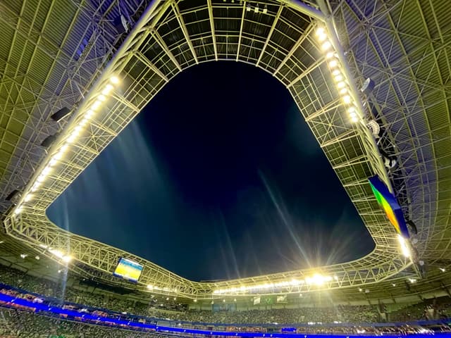 Palmeiras v Atletico Paranaense — fan photo