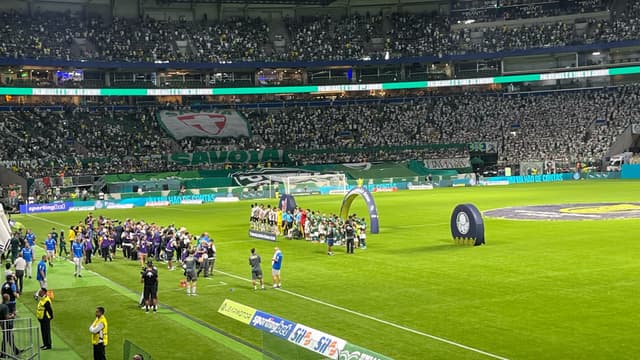 Palmeiras v Atletico Paranaense — fan photo