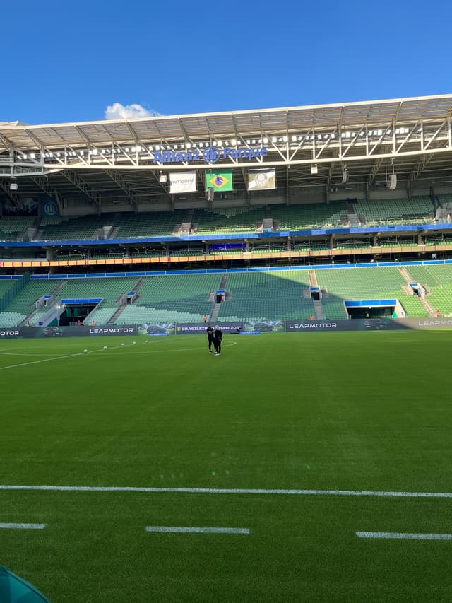 Palmeiras v Atletico Paranaense — fan photo