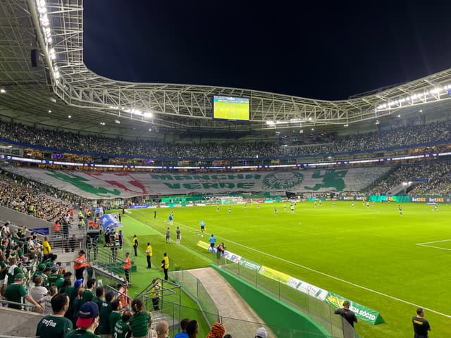 Palmeiras v Atletico Paranaense — fan photo