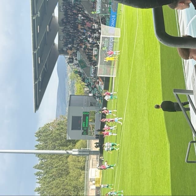 Tallaght Stadium — fan photo