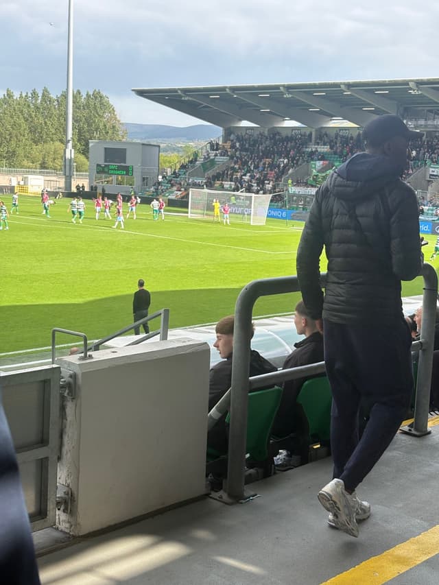 Tallaght Stadium — fan photo