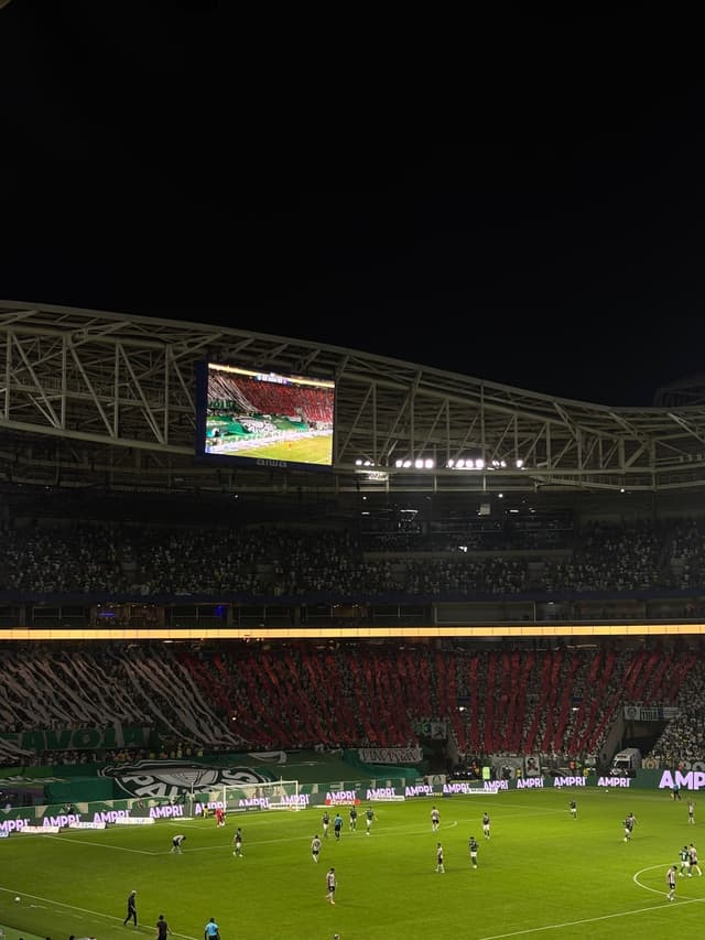 Palmeiras v Atletico Paranaense — fan photo