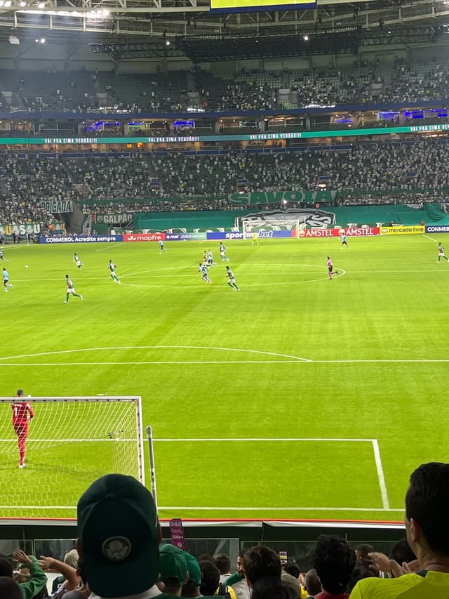 Palmeiras v Sporting Cristal — fan photo