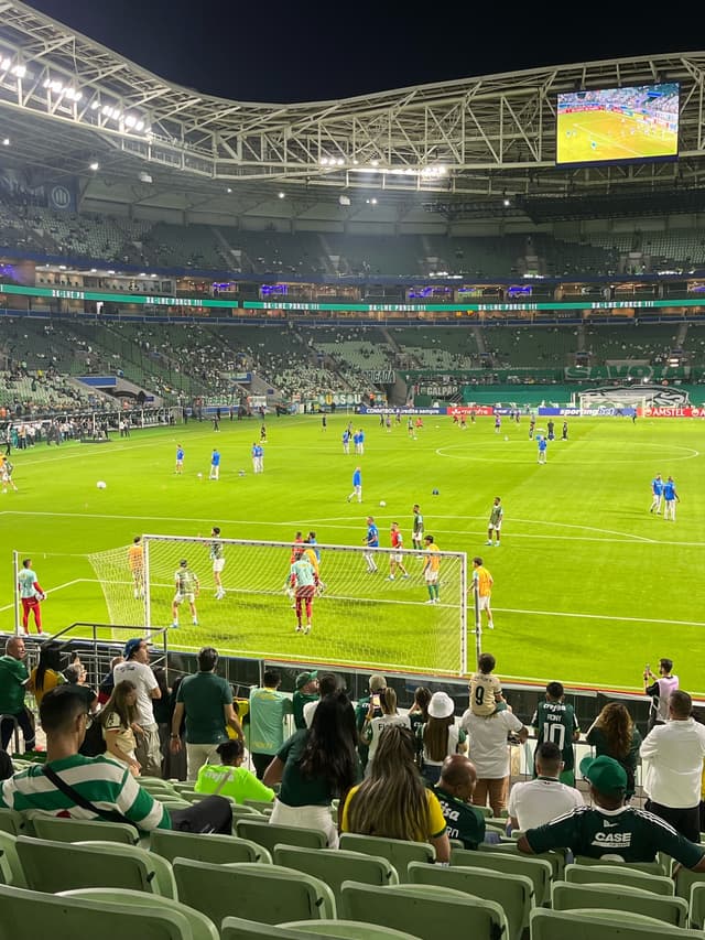 Palmeiras v Sporting Cristal — fan photo
