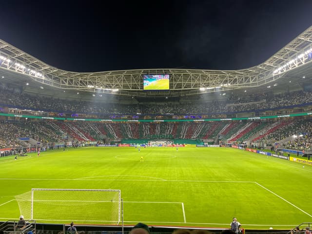 Palmeiras v Sporting Cristal — fan photo