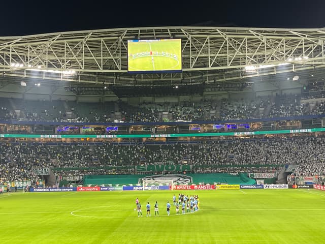 Palmeiras v Sporting Cristal — fan photo