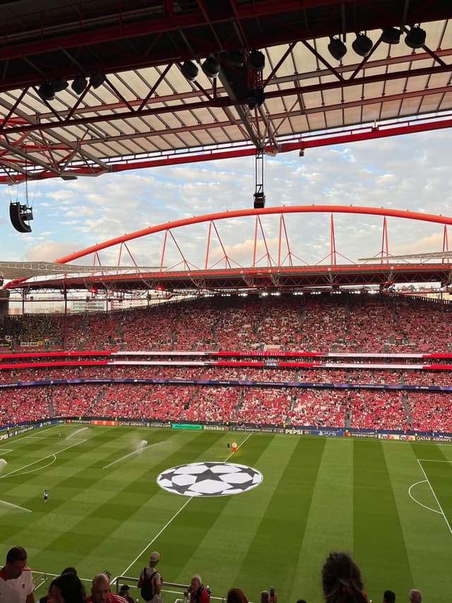 Benfica v Fenerbahce — fan photo
