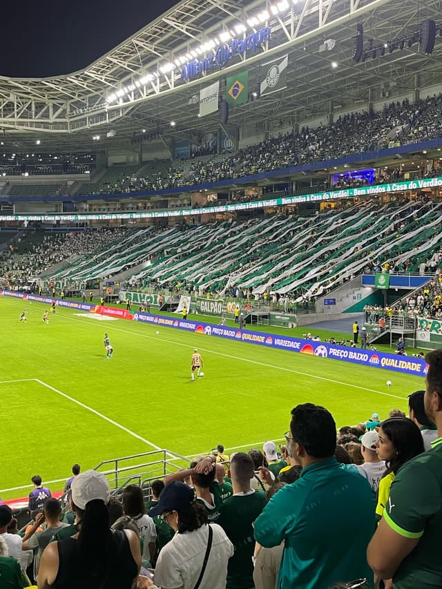 Palmeiras v Jacuipense — fan photo