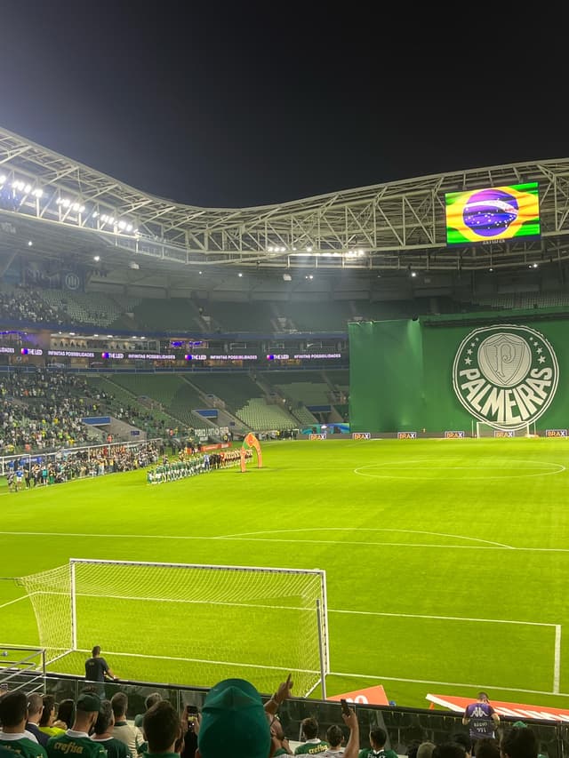 Palmeiras v Jacuipense — fan photo