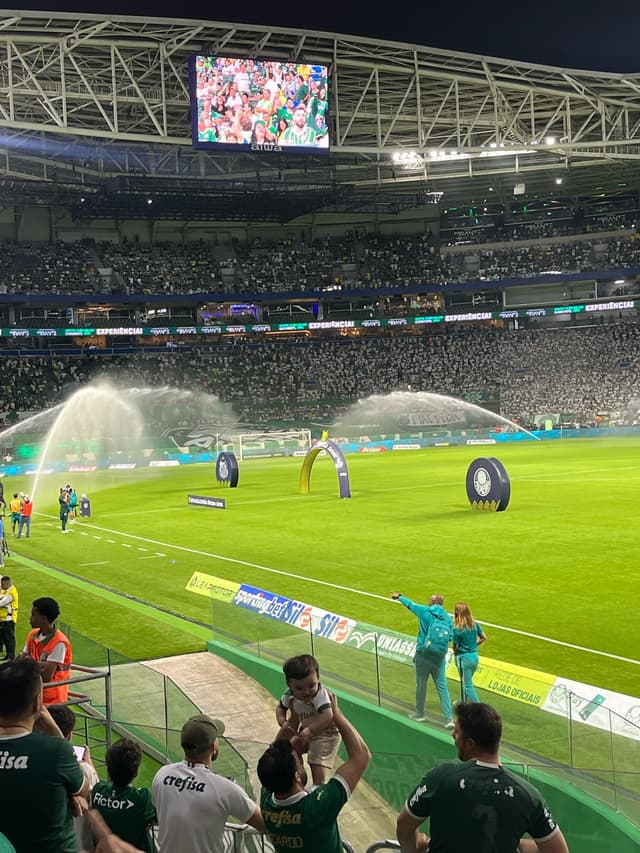 Palmeiras v Santos — fan photo