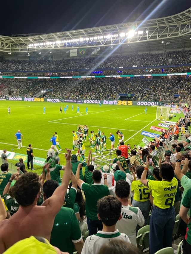 Palmeiras v Santos — fan photo
