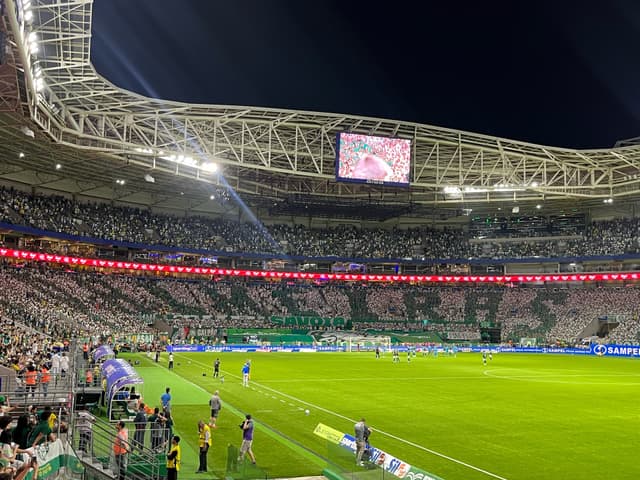 Palmeiras v Santos — fan photo