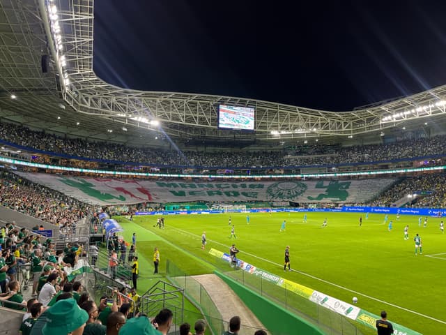 Palmeiras v Santos — fan photo