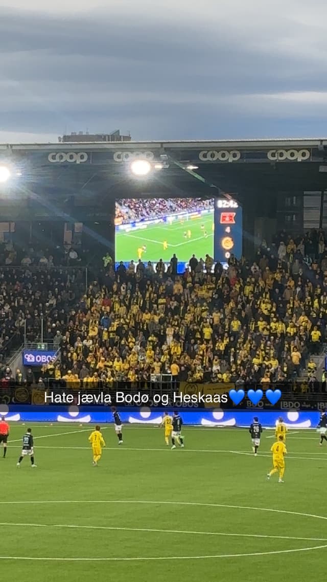 Viking v Bodø/Glimt — fan photo