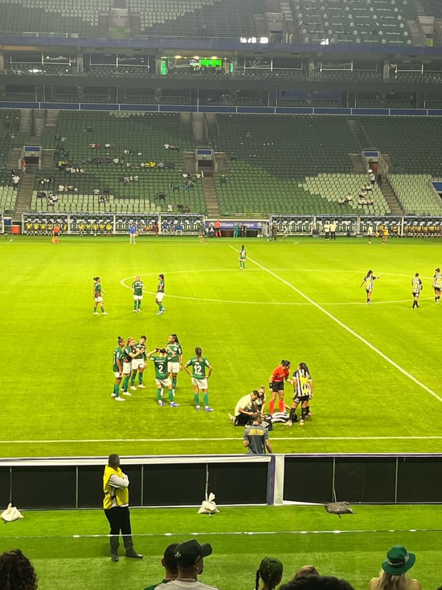 Allianz Parque — fan photo