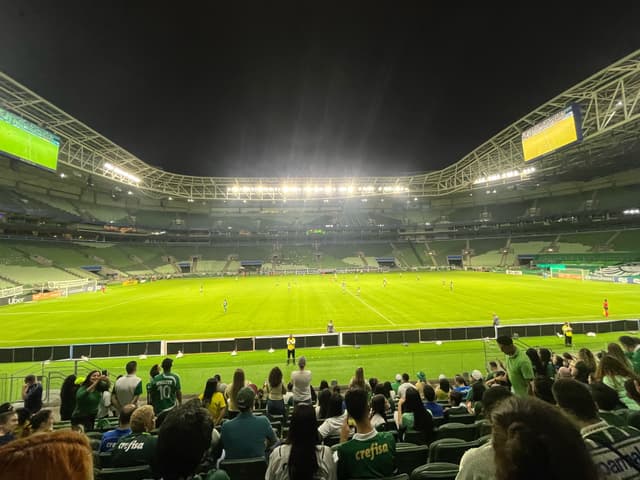 Allianz Parque — fan photo