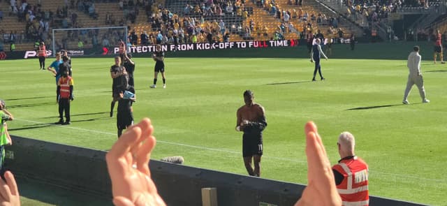 Wolves v Tottenham Hotspur — fan photo
