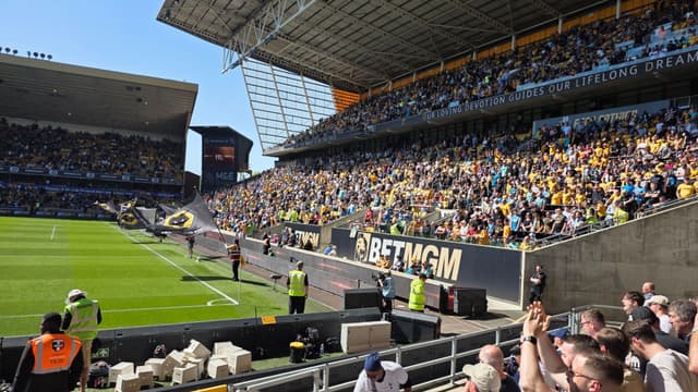 Wolves v Tottenham Hotspur — fan photo