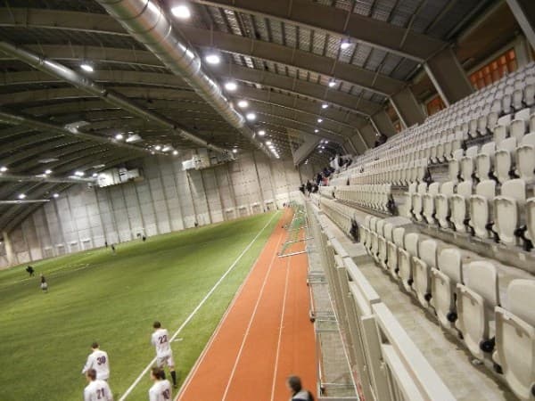 Fífan